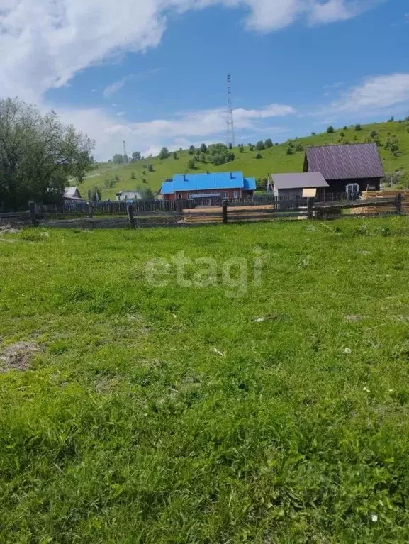 Участок в Алтайский край, Красногорский район, с. Усть-Иша ул. Мира ... - Фото 0