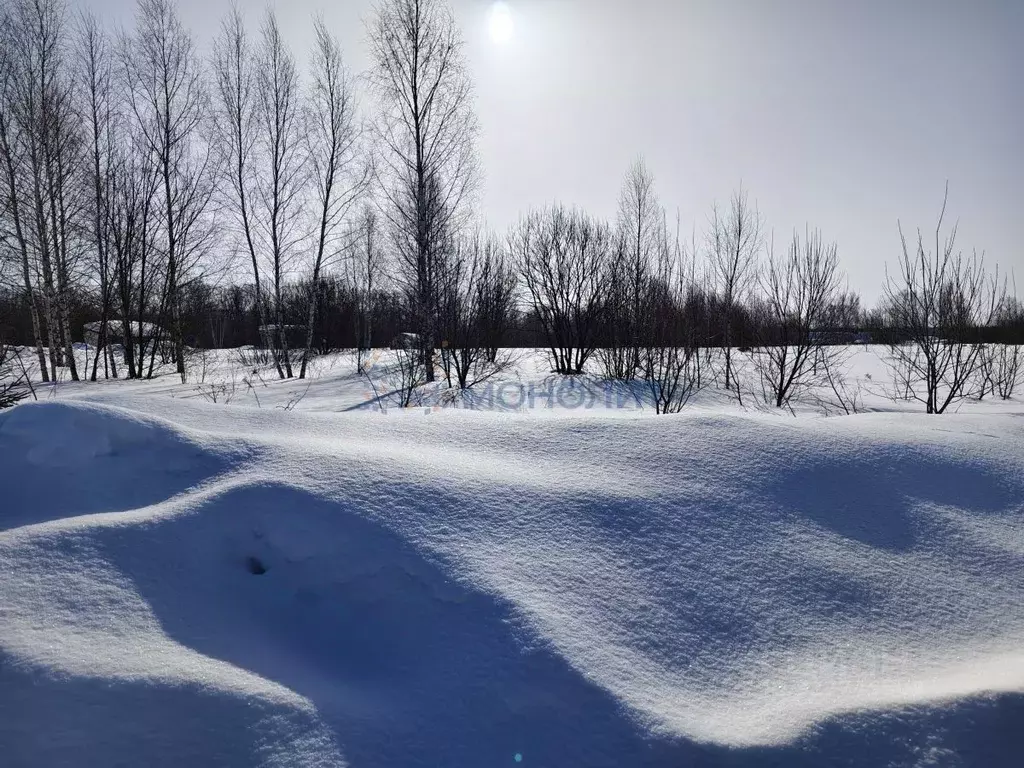 Участок в Нижегородская область, Нижний Новгород д. Новопавловка,  ... - Фото 1