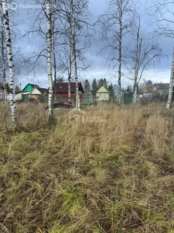 Участок в Мгинское городское поселение, посёлок Апраксин (8.4 м) - Фото 2