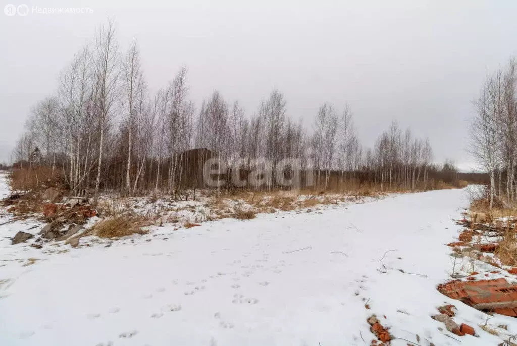 Участок в Нижнетавдинский район, садовое товарищество Душевное, 5-я ... - Фото 1