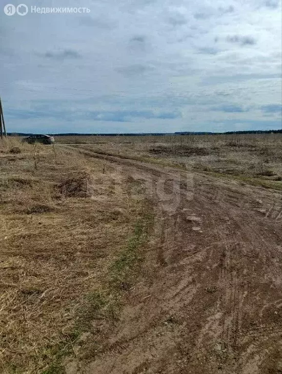 Участок в Пермский край, Ильинский муниципальный округ, деревня Малахи ... - Фото 2