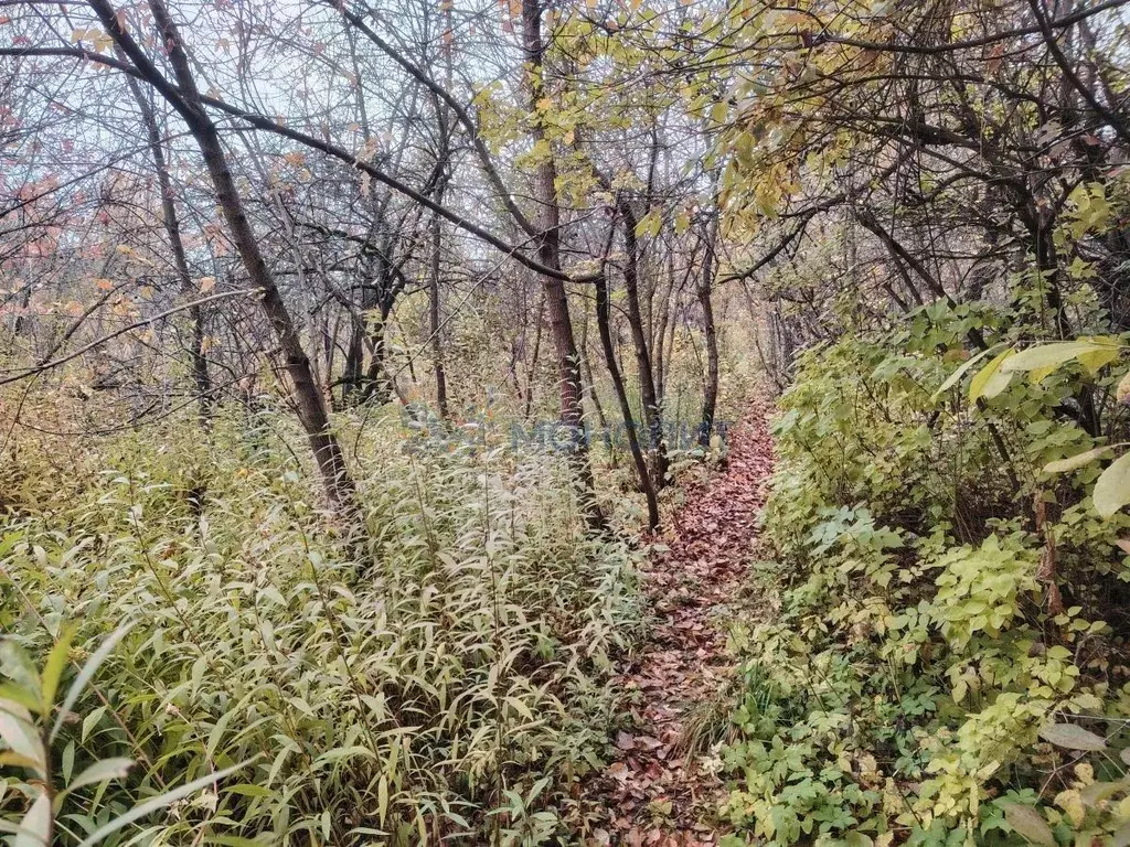 Участок в Нижегородская область, Нижний Новгород Связь СНТ,  (4.6 ... - Фото 2