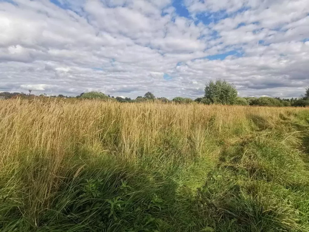 Участок в Московская область, Коломна городской округ, с. Нижнее ... - Фото 2