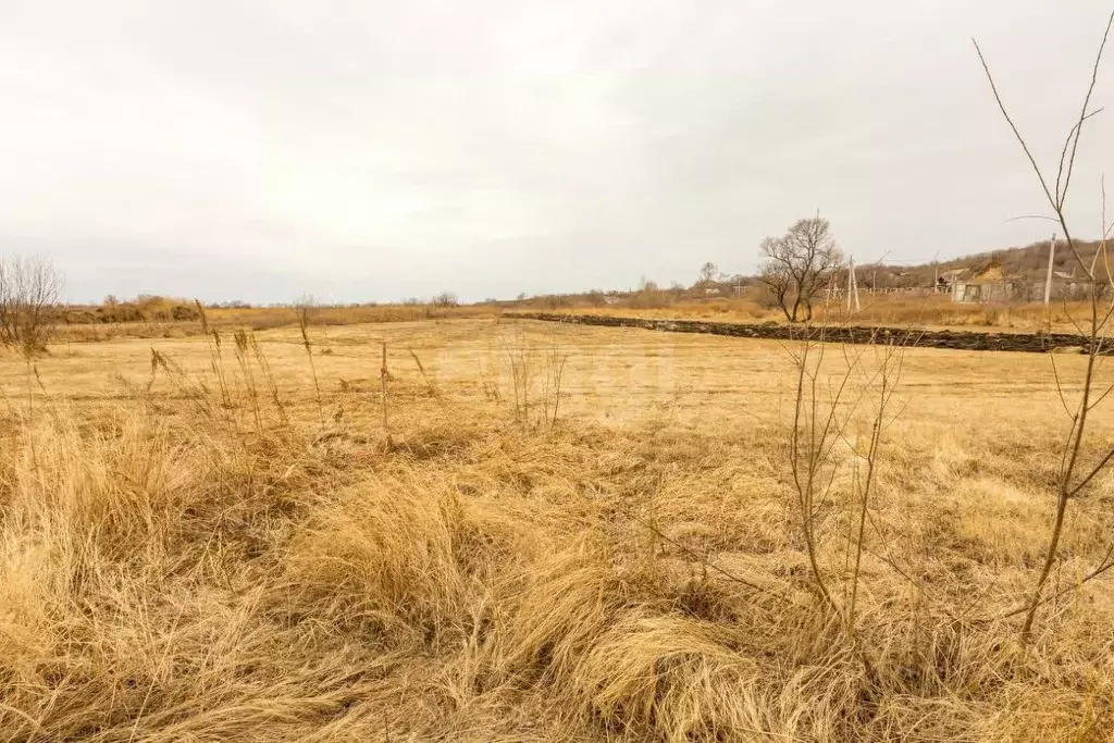 Участок в Амурская область, Благовещенск городской округ, с. Садовое  ... - Фото 1