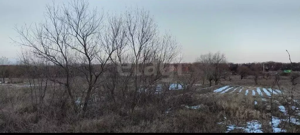 Участок в Амурская область, Благовещенский район, пос. Заречный  (9.0 ... - Фото 1