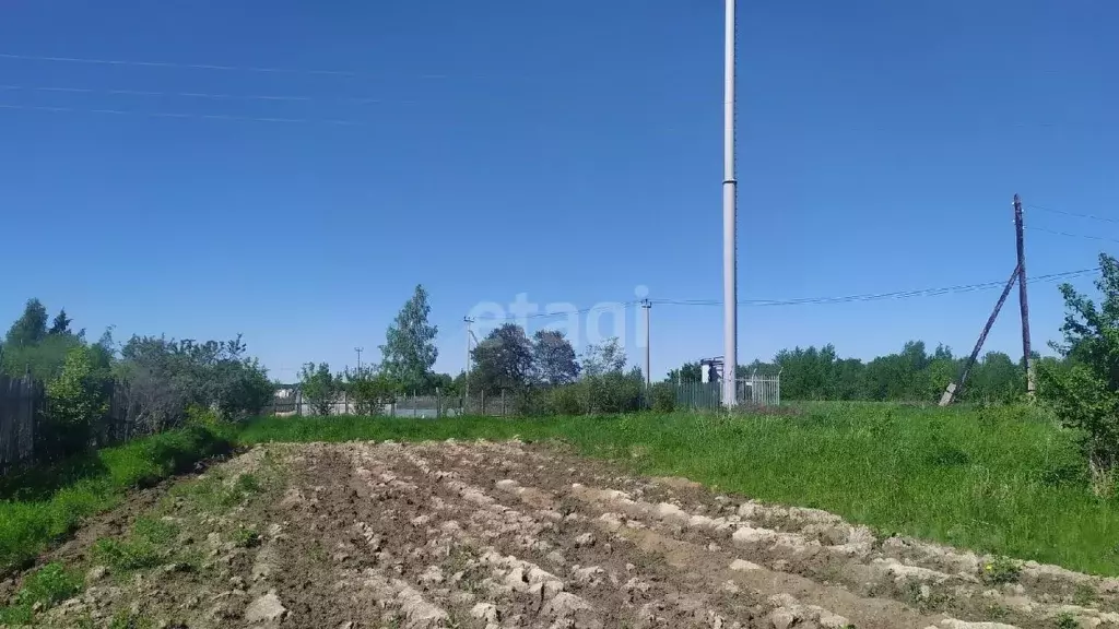 Участок в Вологодская область, Вашкинский муниципальный округ, д. ... - Фото 1