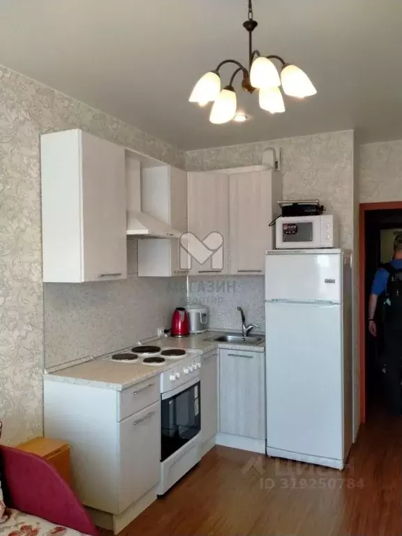 Студия Санкт-Петербург пос. Шушары, пер. Вилеровский, 6 (29.0 м) - Фото 1