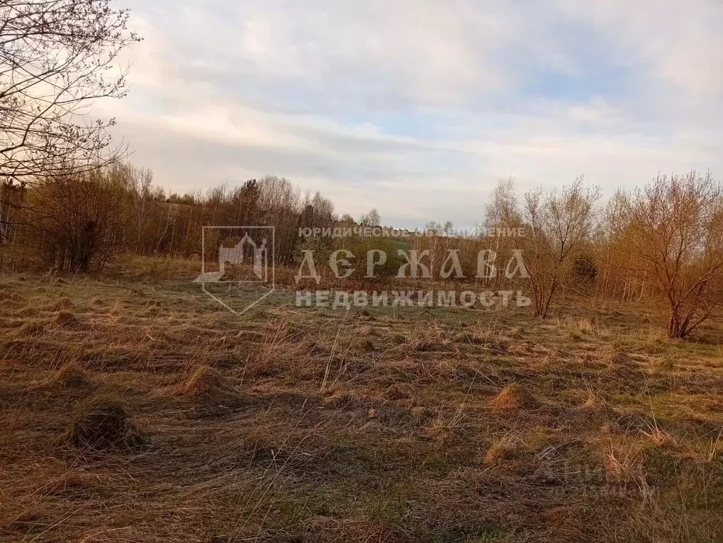 Участок в Кемеровская область, Кемеровский район, с. Силино ул. 3-я ... - Фото 0