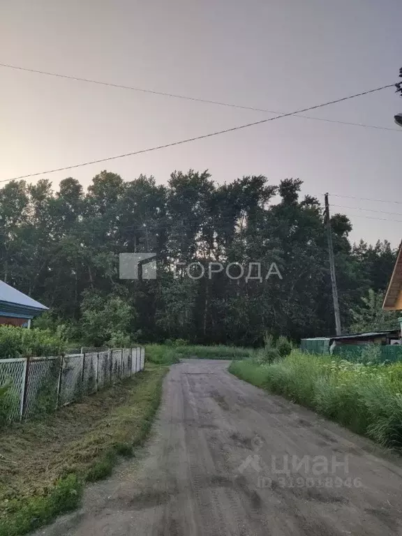 Дом в Новосибирская область, Новосибирск Шилкинская ул., 4 (70 м) - Фото 1