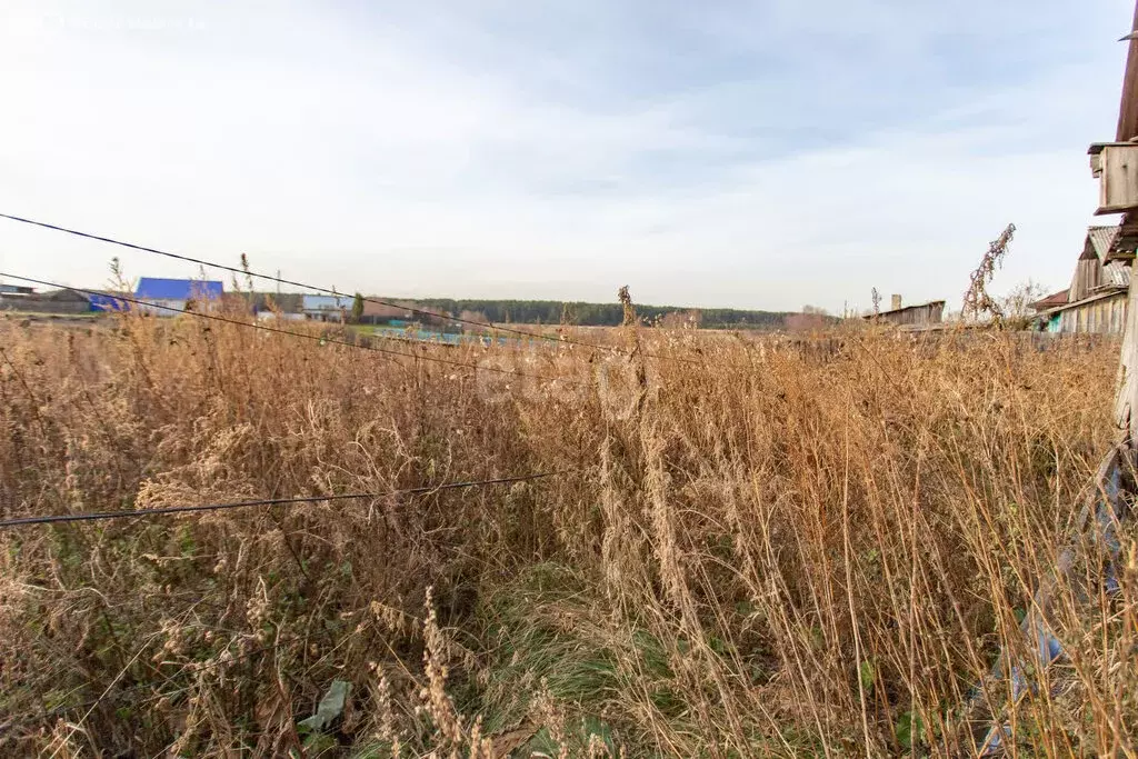 Дом в Тобольский район, Кутарбитское сельское поселение, село ... - Фото 1