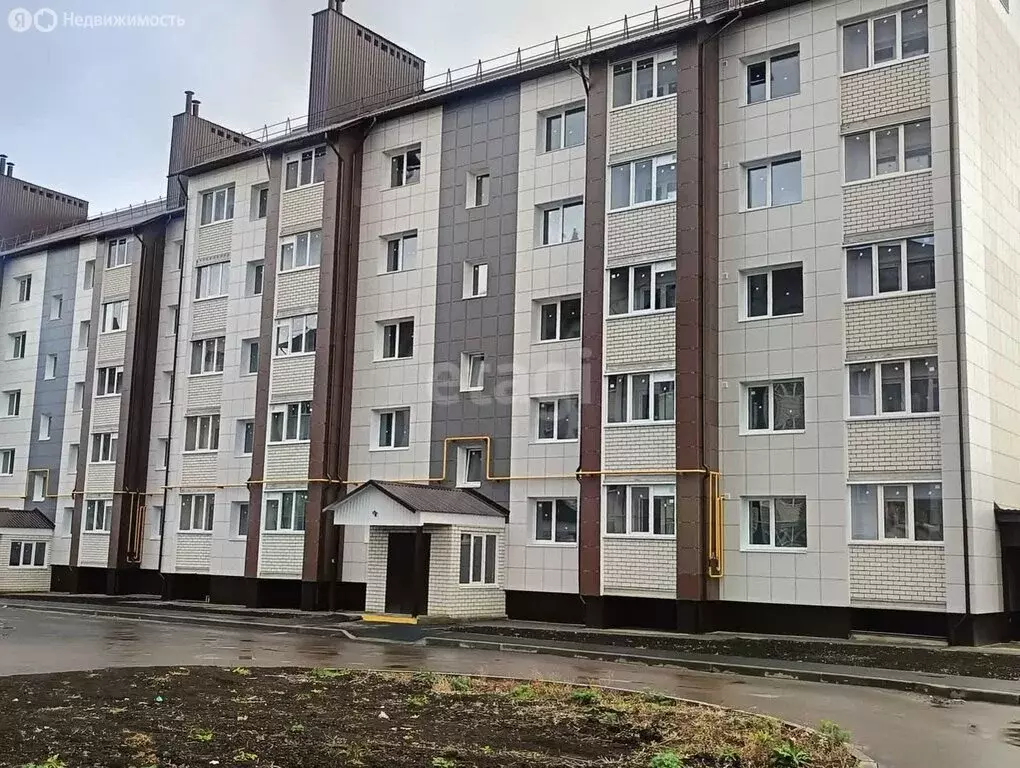 1-комнатная квартира: деревня Крутые Выселки, Лучезарная улица, 8А ... - Фото 1