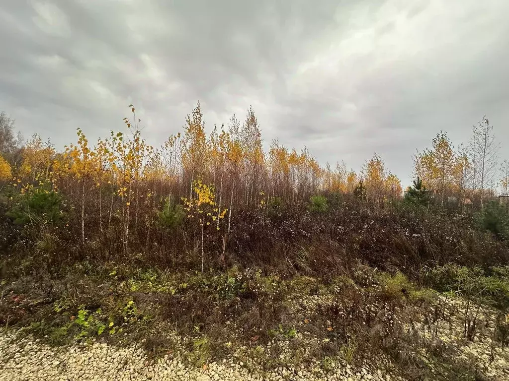 Участок в Московская область, Луховицы муниципальный округ, с. Матыра ... - Фото 1