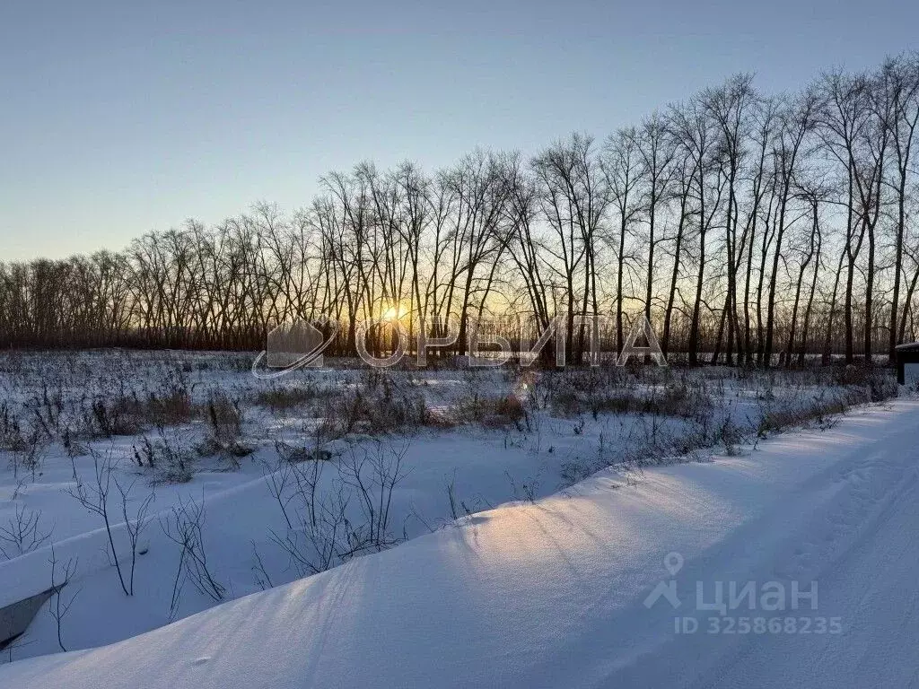 Участок в Тюменская область, Тюменский муниципальный округ, с. Луговое ... - Фото 2