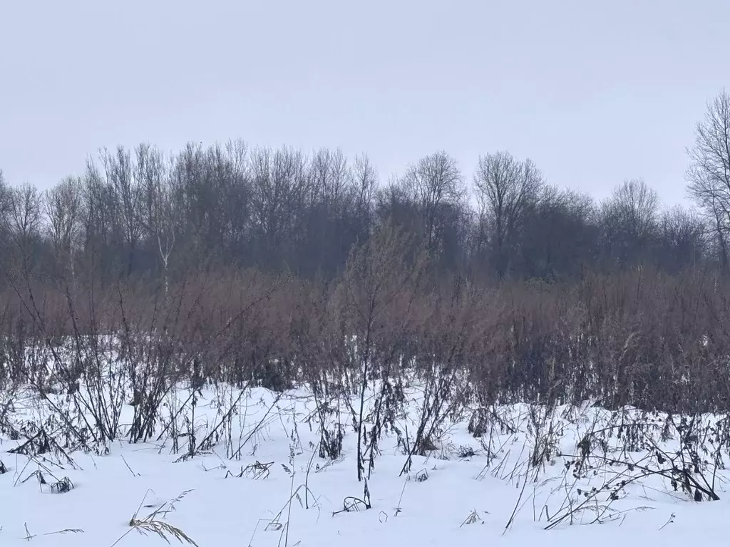 Участок в Московская область, Клин городской округ, д. Еросимово  ... - Фото 0