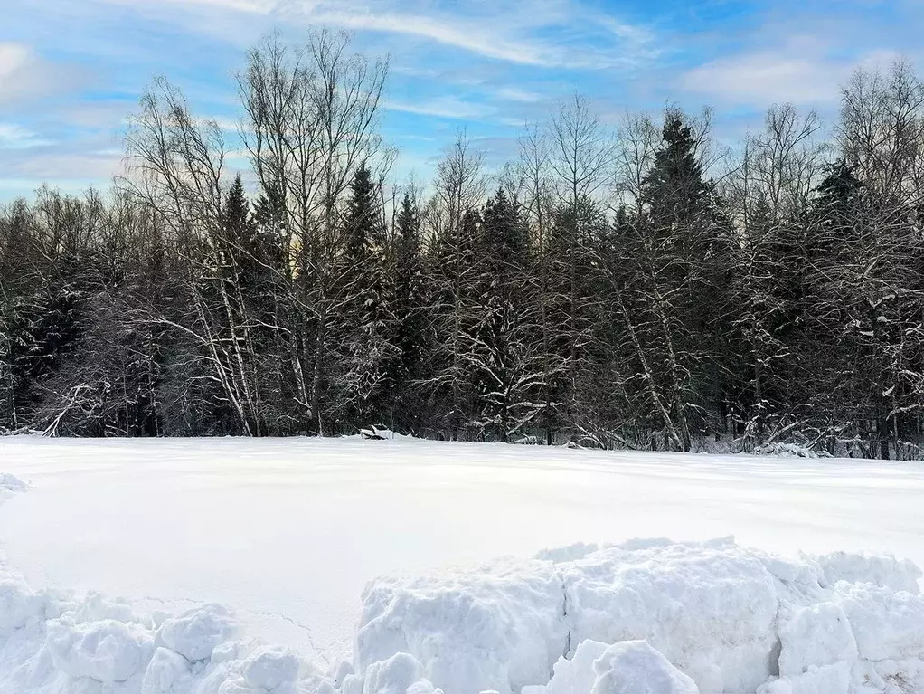 Участок в Московская область, Подольск городской округ, Пузиково кп 69 ... - Фото 2