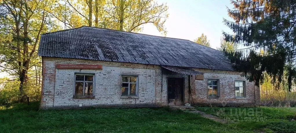 Помещение свободного назначения в Смоленская область, Рославльский ... - Фото 1