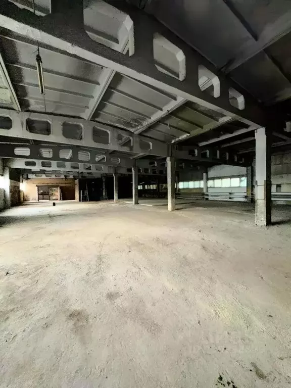 Помещение свободного назначения в Самарская область, Чапаевск ... - Фото 1