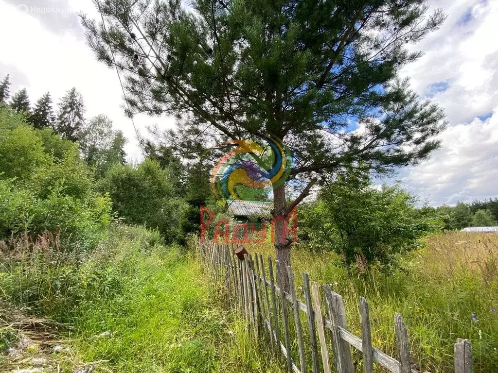 Участок в Ивановский район, Богородское сельское поселение, СНТ ... - Фото 0
