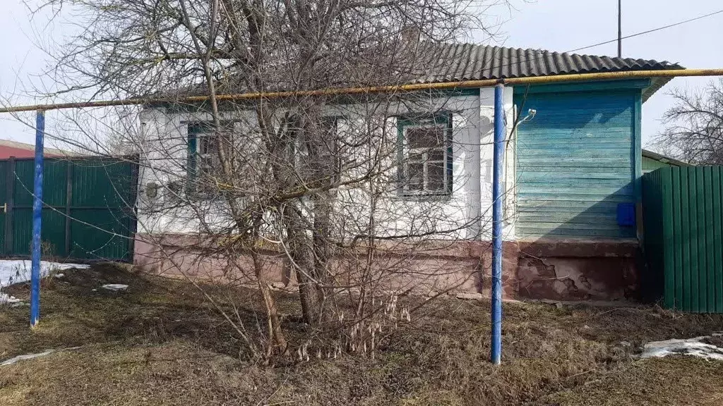 Дом в Белгородская область, Новооскольский городской округ, с. ... - Фото 1