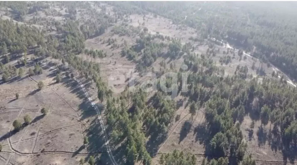 Участок в Бурятия, Тарбагатайский район, Саянтуйское с/пос, с. Нижний ... - Фото 2