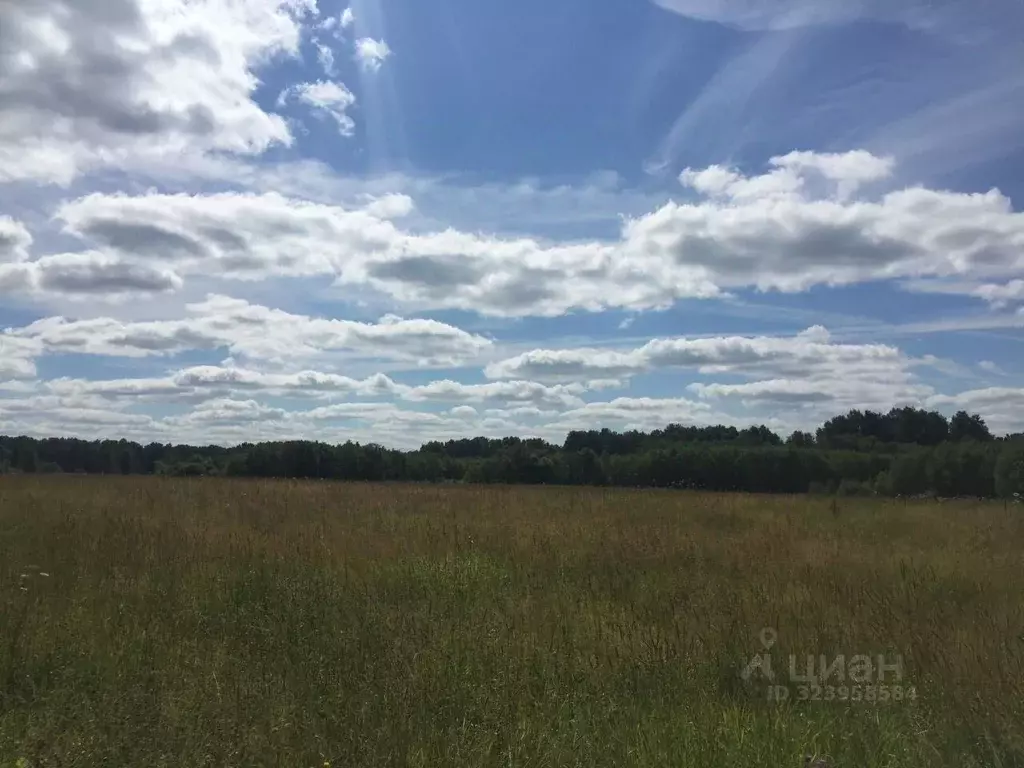 Участок в Смоленская область, Гагаринский муниципальный округ, д. ... - Фото 2