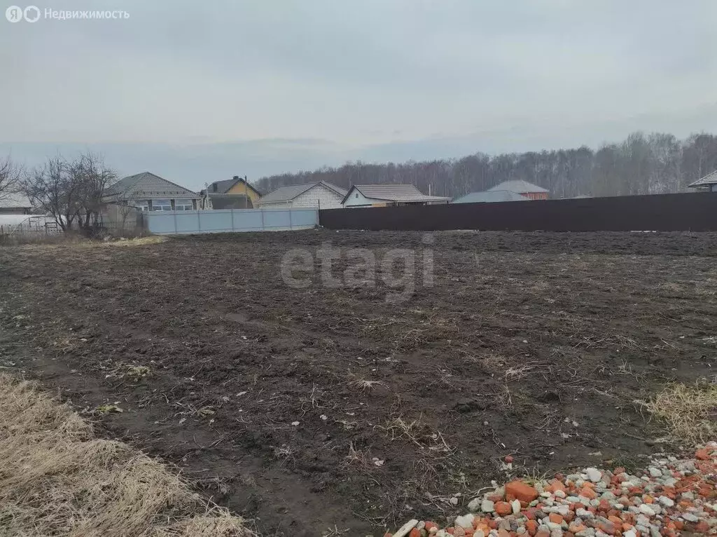 Участок в село Толмачево, СДТ Содружество (6 м) - Фото 0