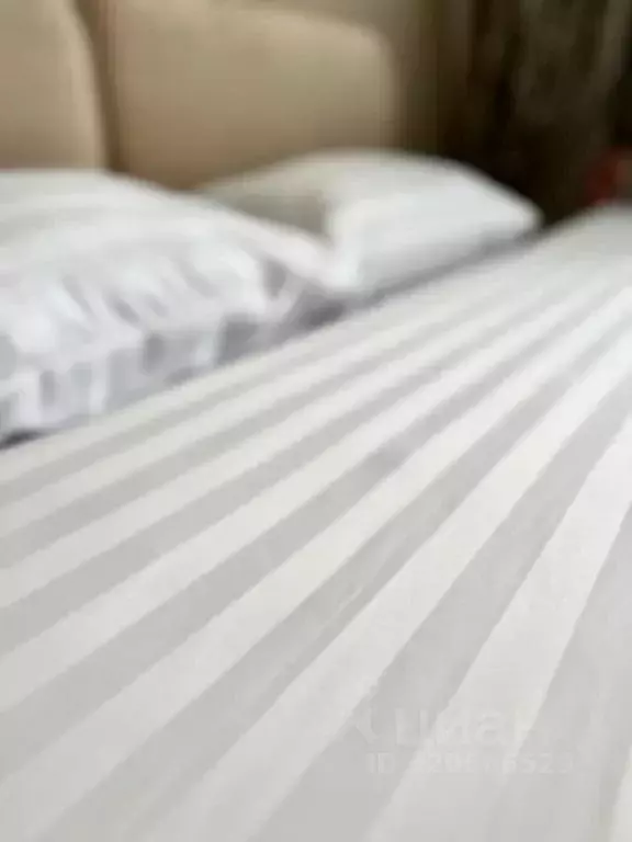 1-к кв. Рязанская область, Рязань ул. Островского, 122 (32.0 м) - Фото 1