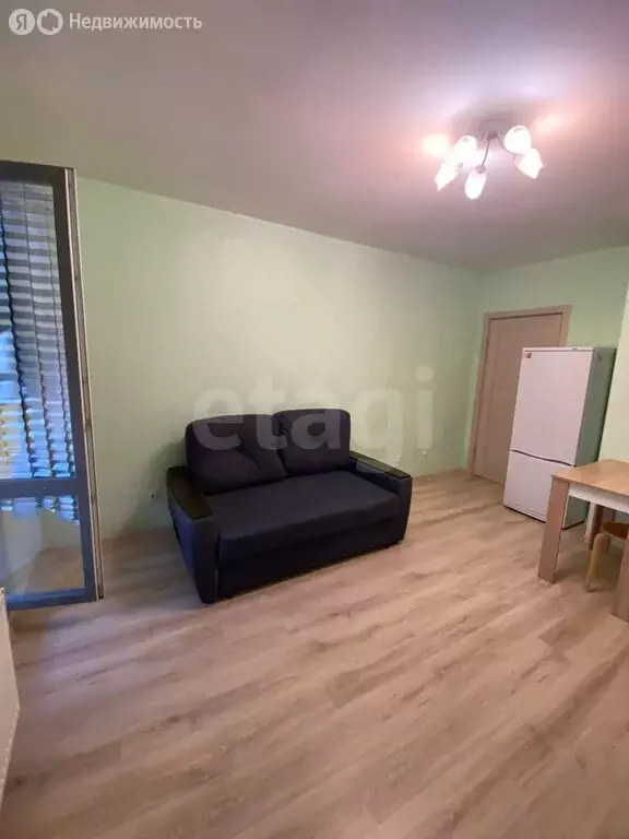 Квартира-студия: посёлок Шушары, Старорусский проспект, 13к1 (23.6 м) - Фото 2