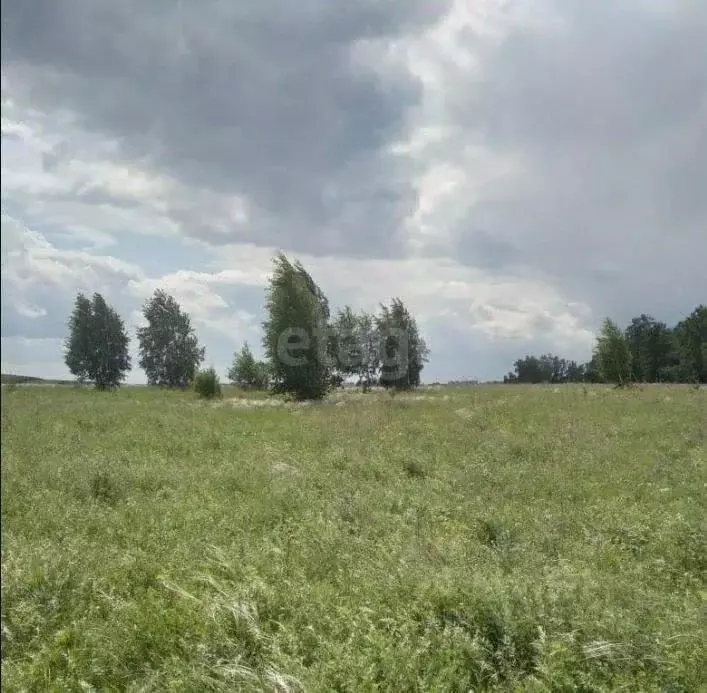 Участок в Вологодская область, Кириллов ул. Гагарина (145.0 сот.) - Фото 1