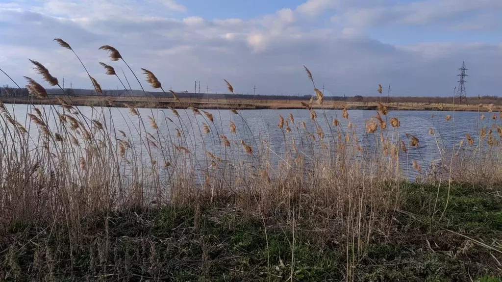 Погода в Сальске Степной Курган.