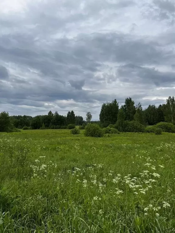 Участок в Московская область, Волоколамский муниципальный округ, д. ... - Фото 2
