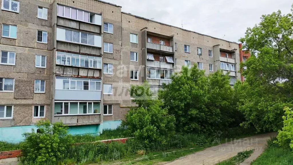 1-к кв. Челябинская область, Верхний Уфалей ул. Суркова, 53 (35.4 м) - Фото 0