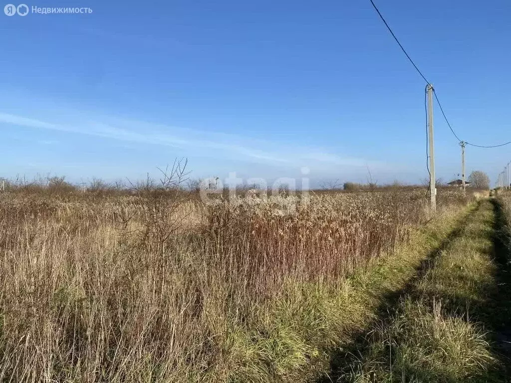 Участок в Калининградская область, Гурьевский муниципальный округ, ... - Фото 2