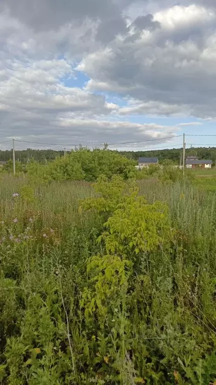 Участок в Башкортостан, Чишминский район, Лесной сельсовет, с. ... - Фото 2