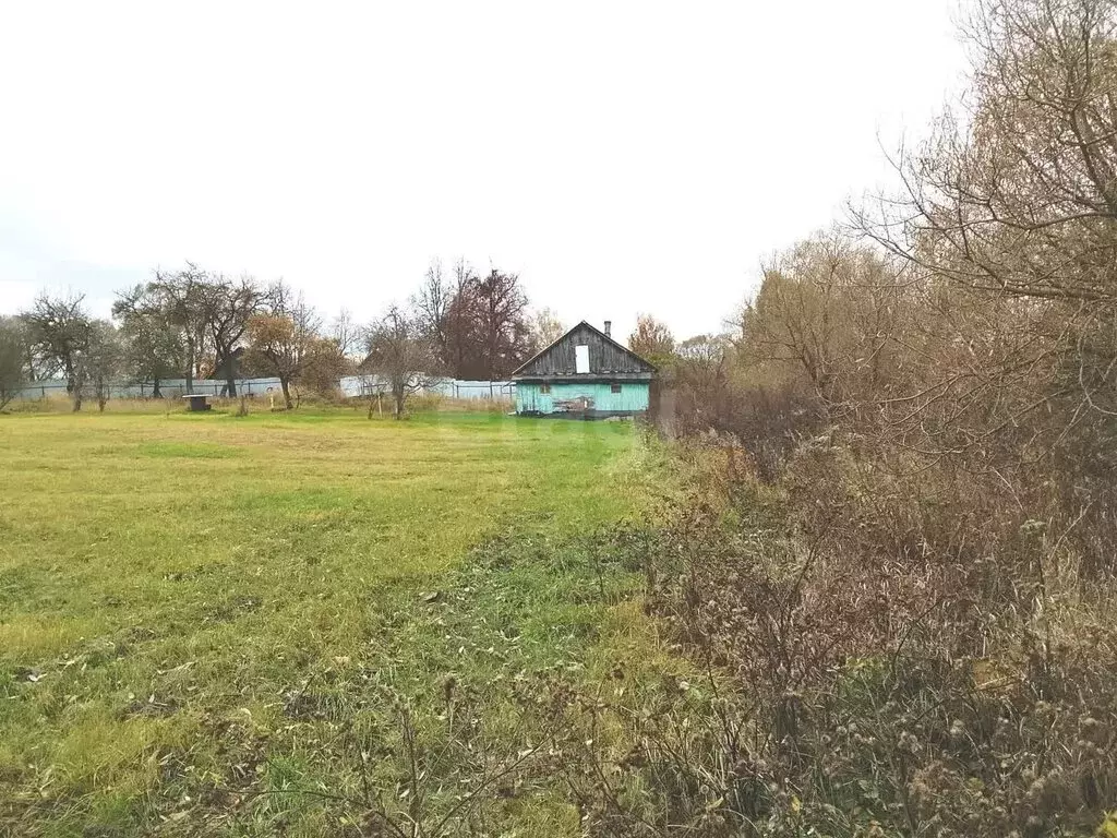 Участок в Калужская область, Дзержинский муниципальный округ, сельское ... - Фото 2