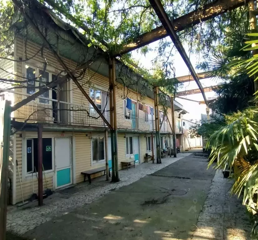 Помещение свободного назначения в Краснодарский край, Сочи Донская ... - Фото 1