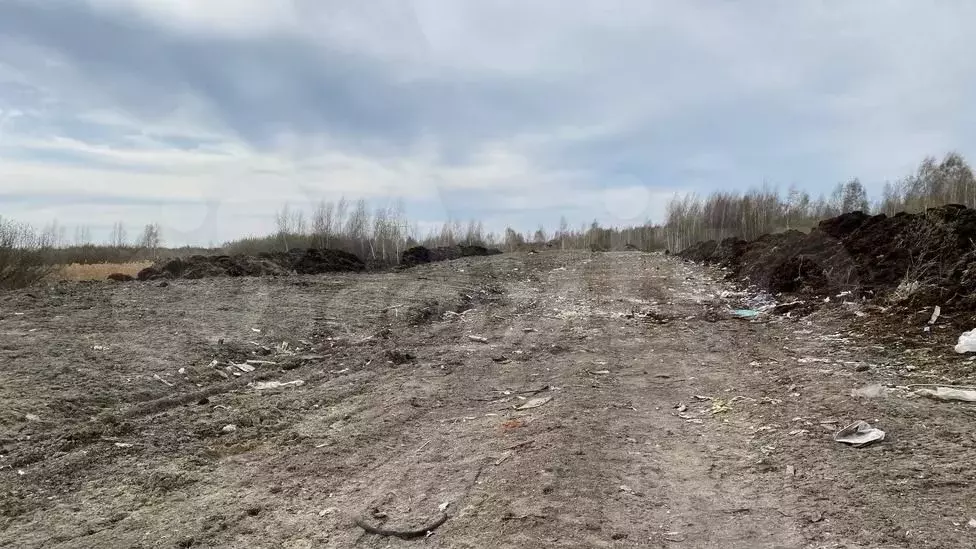 Участок 6 сот. (ИЖС) - Фото 1