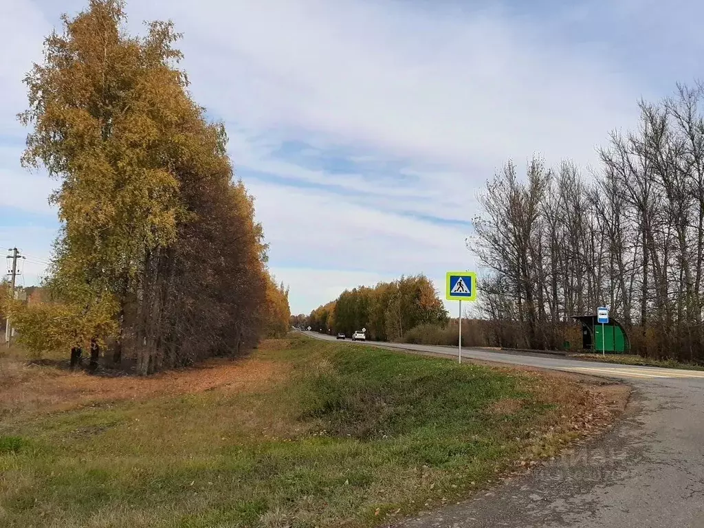 Участок в Липецкая область, Липецкий муниципальный округ, с. Частая ... - Фото 0