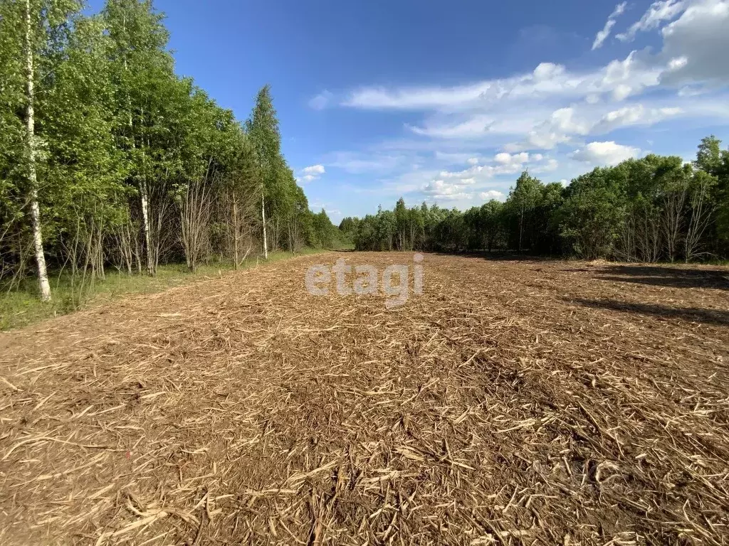 Участок в Костромская область, Красносельский район, Прискоковское ... - Фото 0