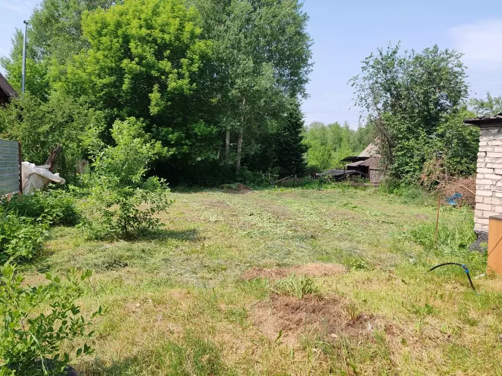 Участок в Алтайский край, Барнаул городской округ, Поселок Борзовая ... - Фото 1