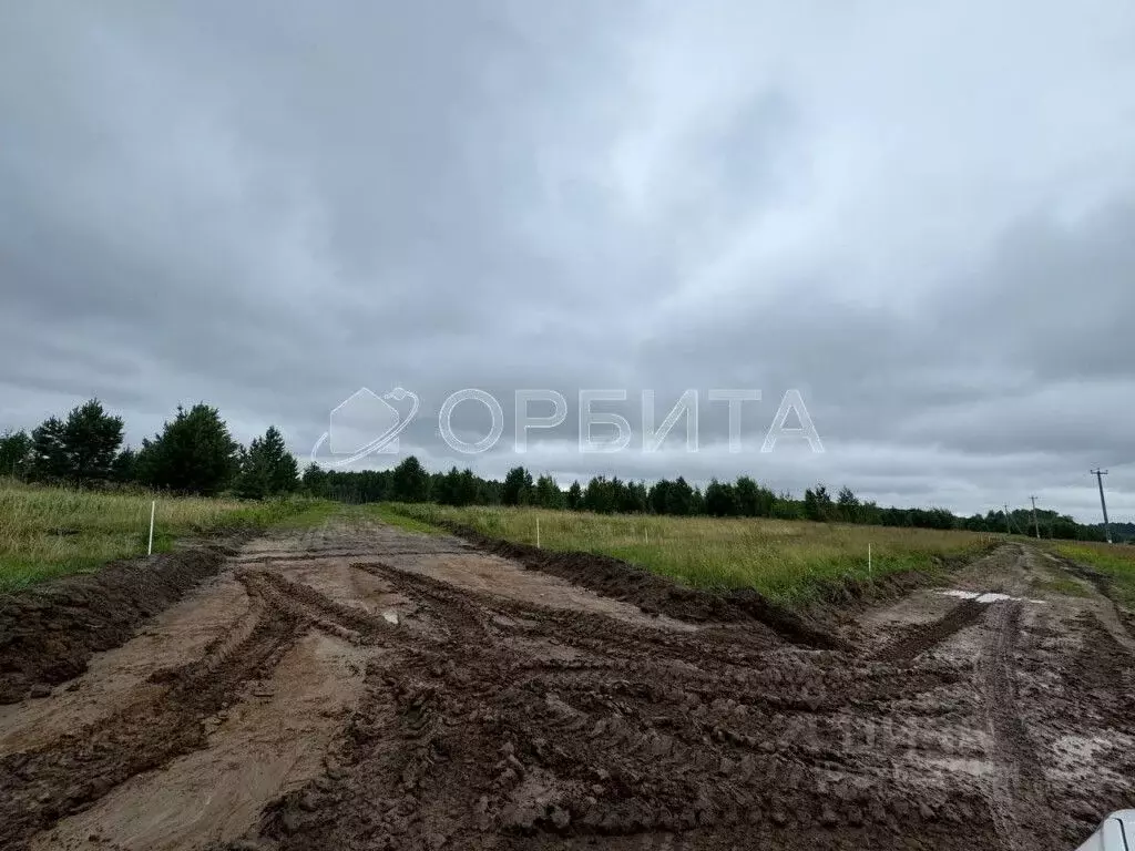 Участок в Тюменская область, Тюменский муниципальный округ, д. Речкина ... - Фото 2