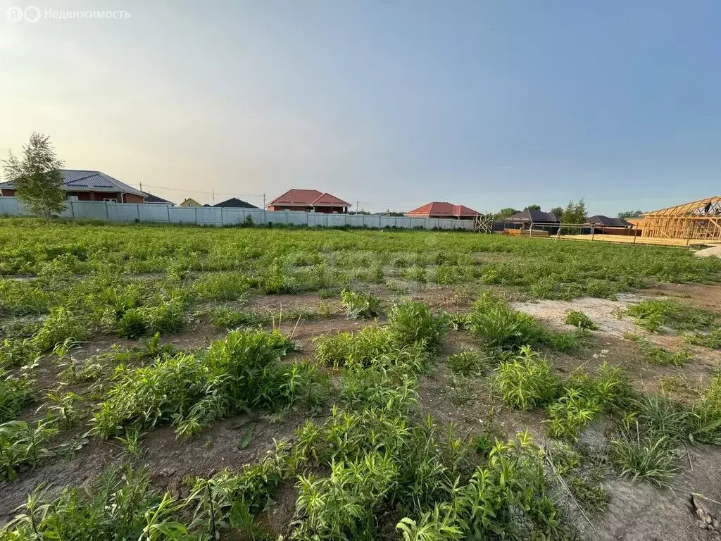 Участок в Тульская область, городской округ Тула, деревня Верхняя ... - Фото 1
