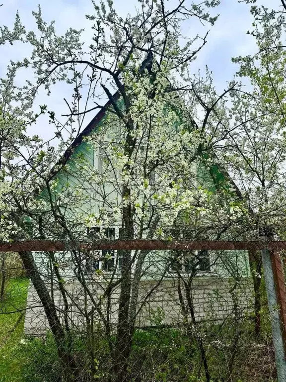 Дом в Владимирская область, Петушки Кедр СНТ, 10 (50 м) - Фото 0