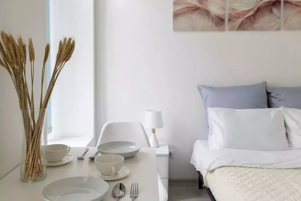 Студия Санкт-Петербург наб. Реки Фонтанки, 38 (19.0 м) - Фото 0