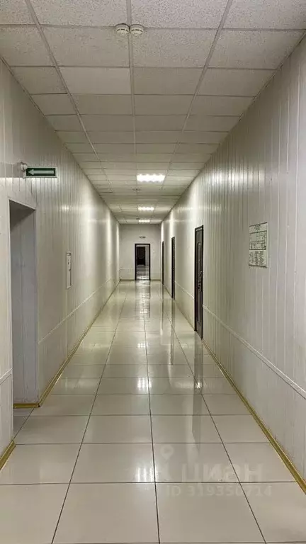 Офис в Омская область, Омск ул. 24-я Линия, 59 (51 м) - Фото 1