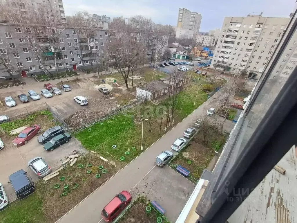 3-к кв. Курская область, Курск ул. Чехова, 6 (59.2 м) - Фото 0