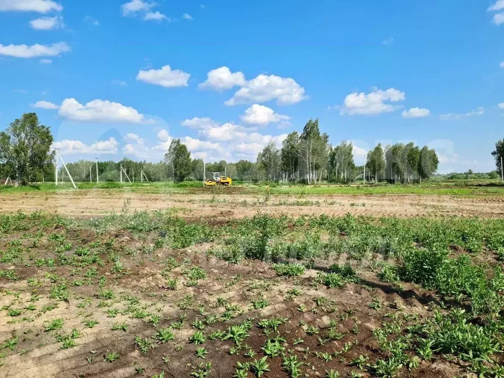 Участок в Тюменская область, Тюмень Строитель СНТ,  (10.0 сот.) - Фото 2