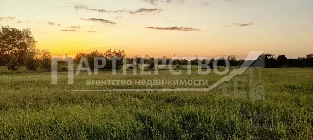 Участок в Краснодарский край, Северский район, Черноморское городское ... - Фото 0