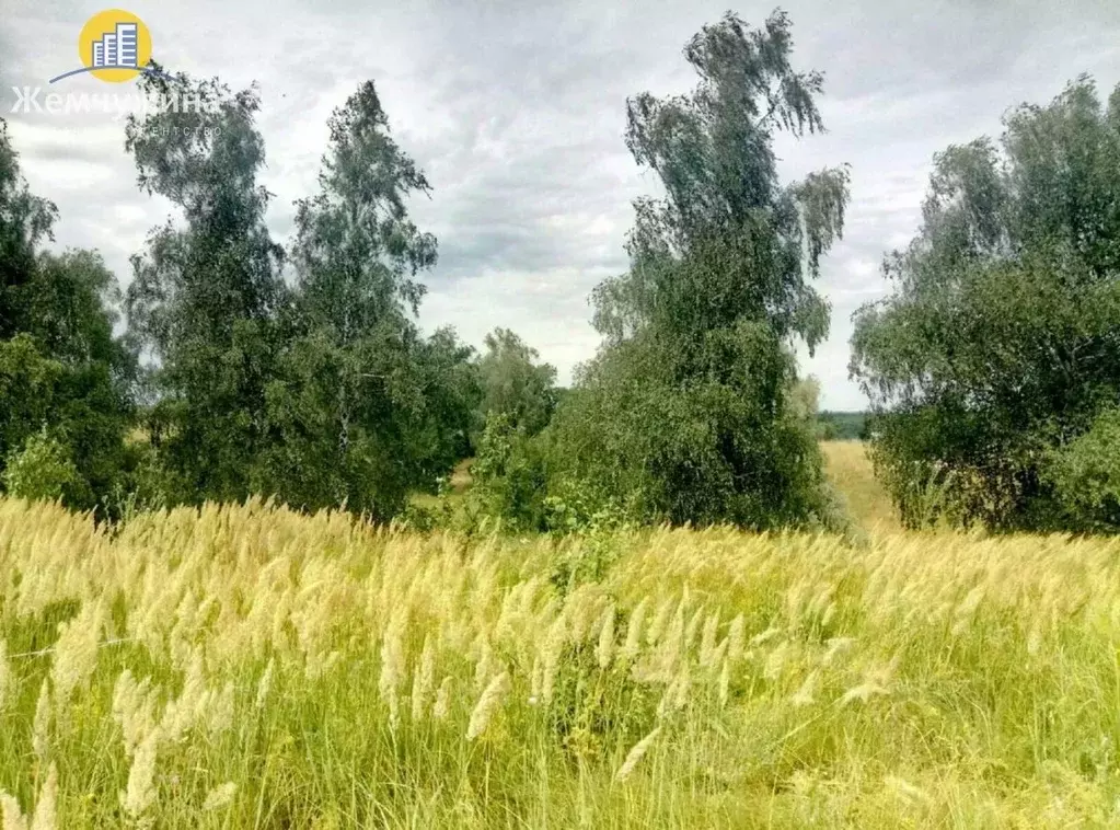 Участок в Ульяновская область, Мелекесский район, Николочеремшанское ... - Фото 2