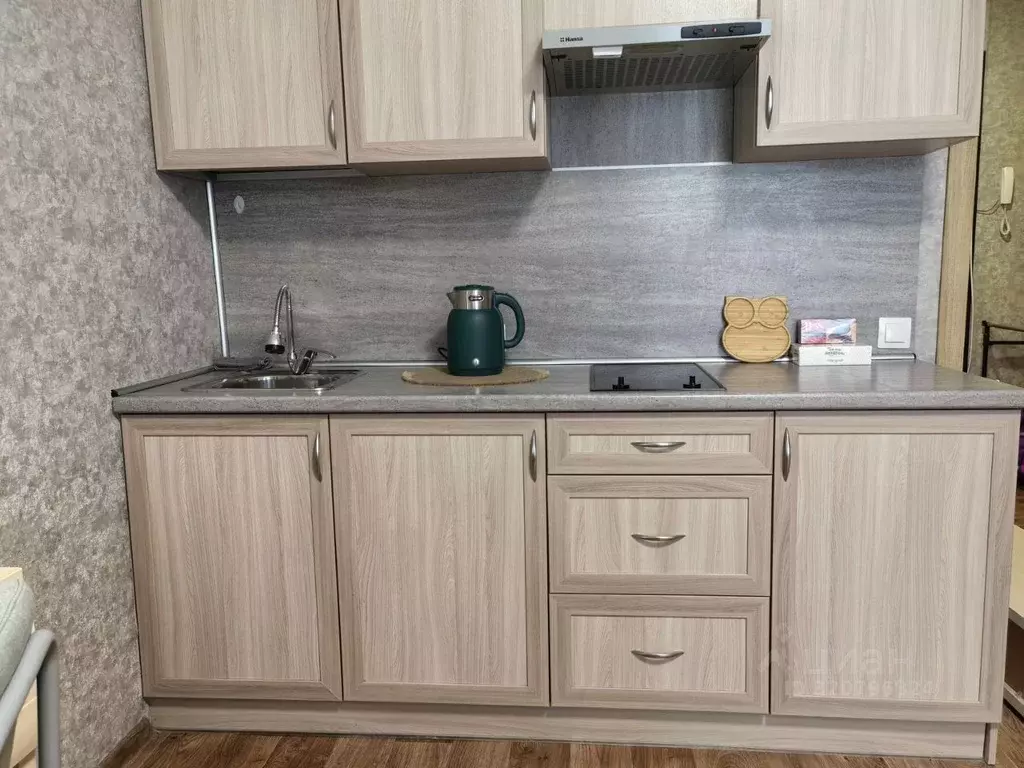 Студия Ленинградская область, Гатчина ул. Хохлова, 16 (25.0 м) - Фото 2